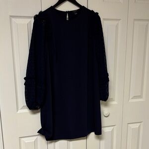 Ann Taylor Navy Long Sleeve Dress